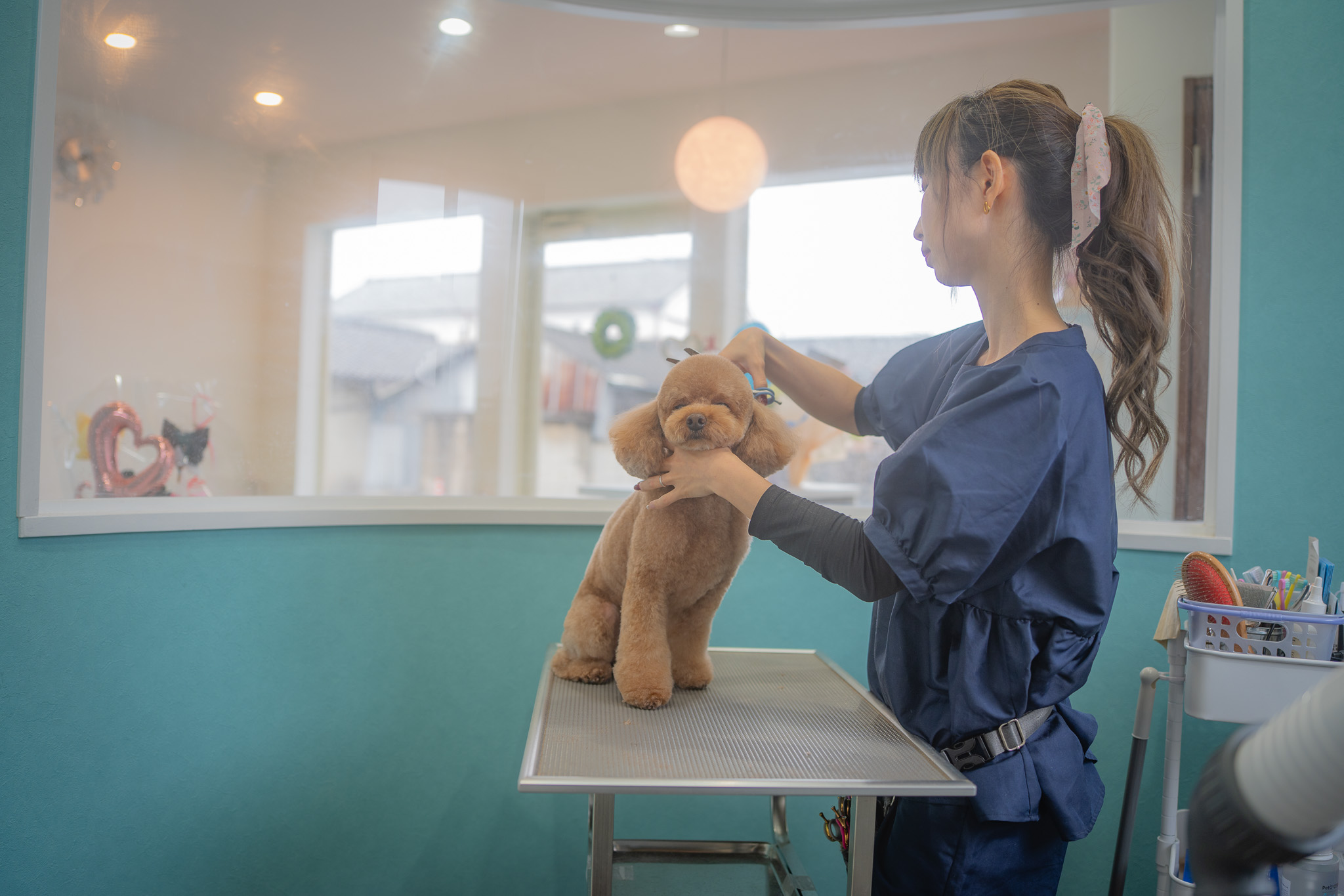 他店で断られた子も、まずはご相談ください