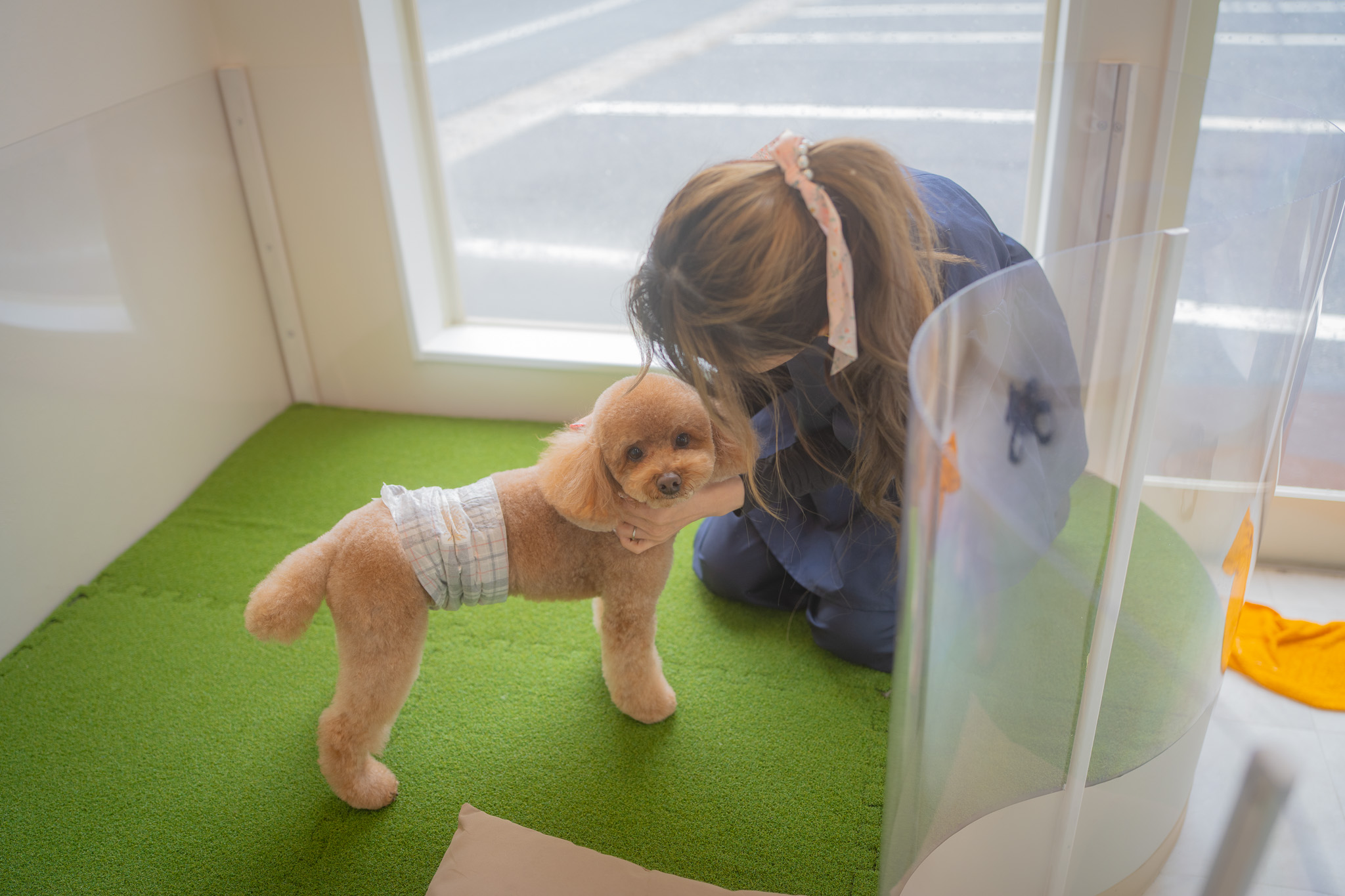 わんこの質問、大歓迎です