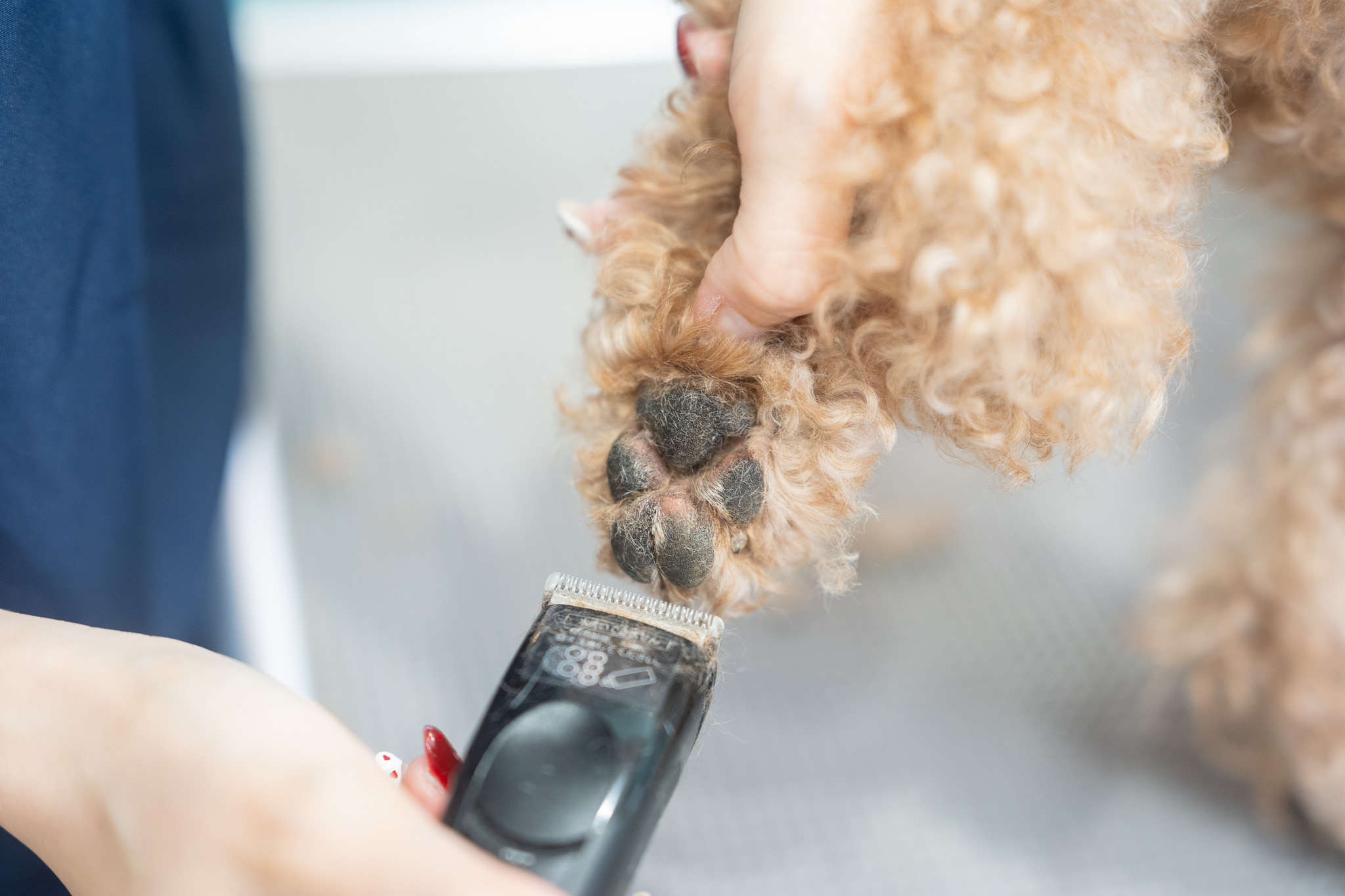 刺激を避けて整える、milimiliの足裏ケア